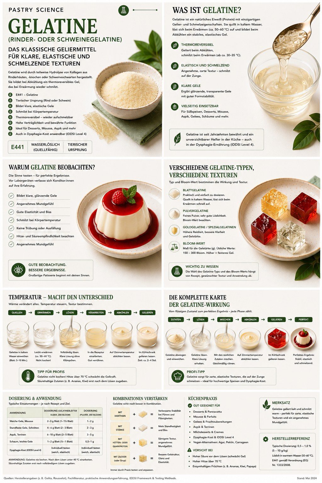 Wissensposter Gelatine: Eigenschaften, Verarbeitung und Dosierung