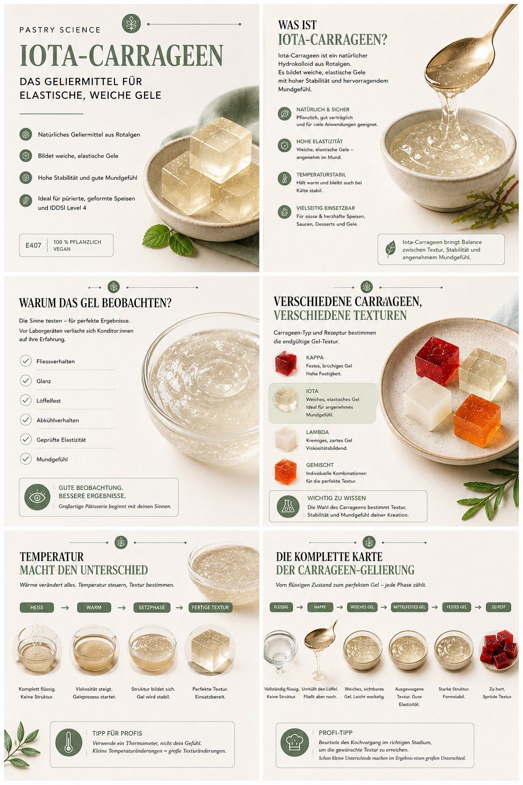 Wissensposter Iota-Carrageen: Eigenschaften, Verarbeitung und Dosierung