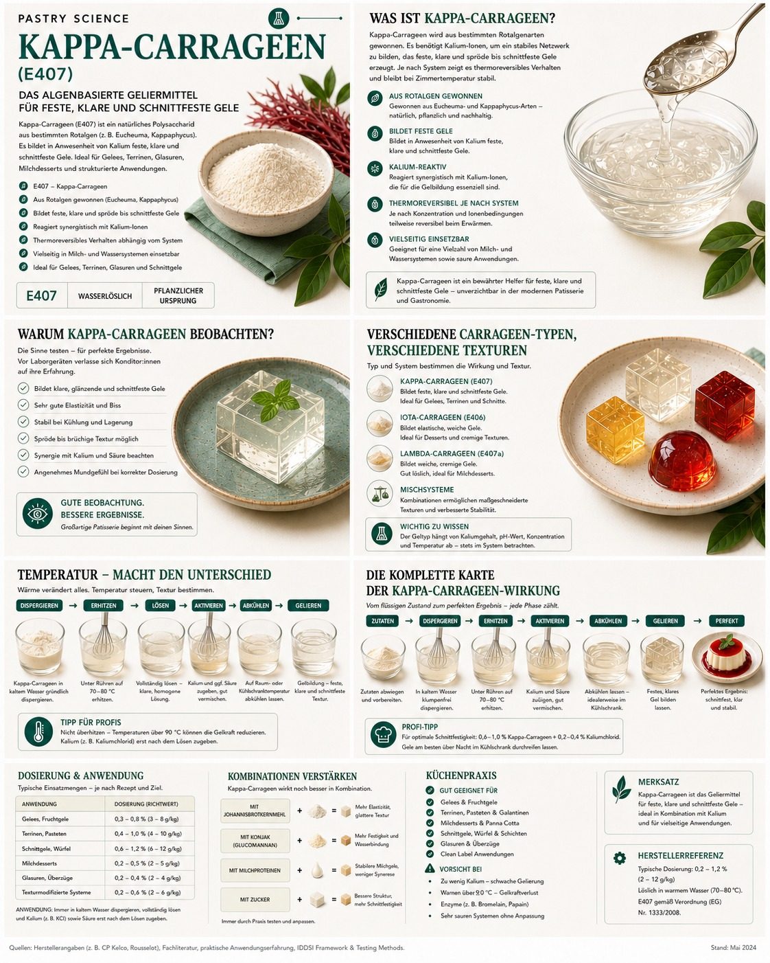 Wissensposter Kappa-Carrageen: Eigenschaften, Verarbeitung und Dosierung
