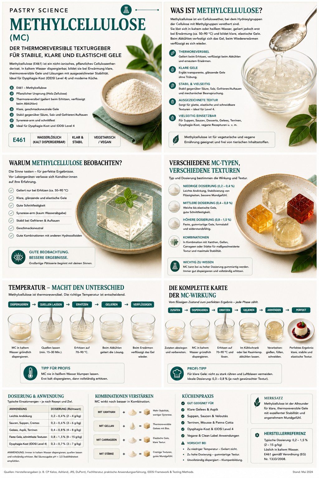 Wissensposter Methylcellulose: Eigenschaften, Verarbeitung und Dosierung